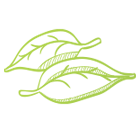 feuille