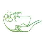 fruit